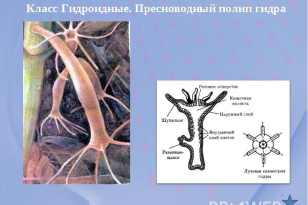 Кракен пользователь не найден что делать