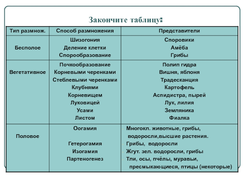 Кракен вход на сайт