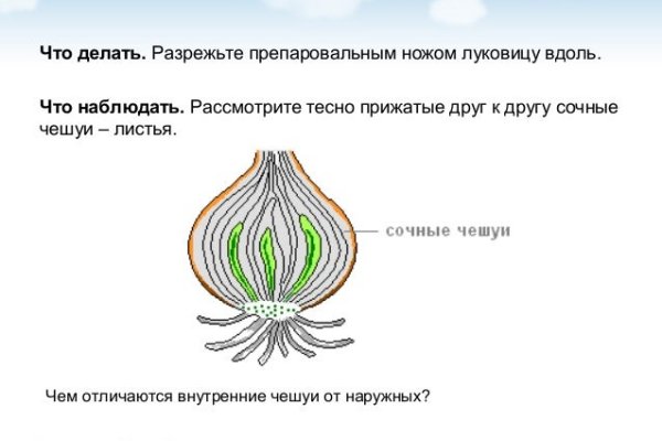 Ссылка на кракен тор kr2web in