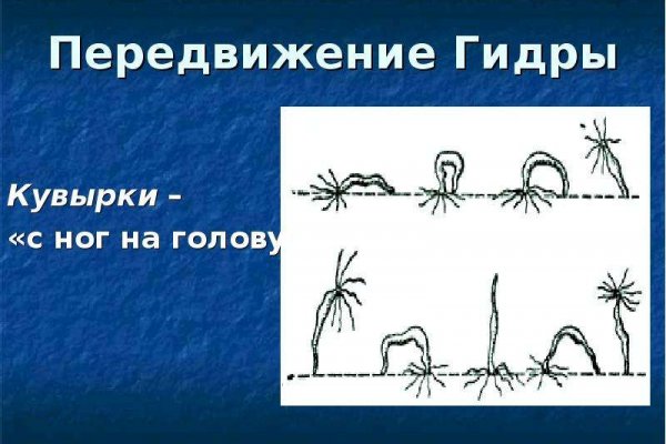 Сайт kraken зеркала