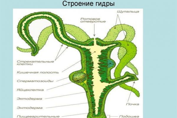 Почему сегодня не работает площадка кракен