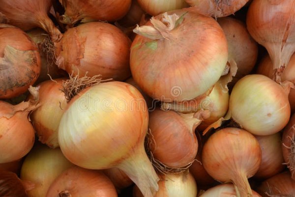 Кракен ссылка onion